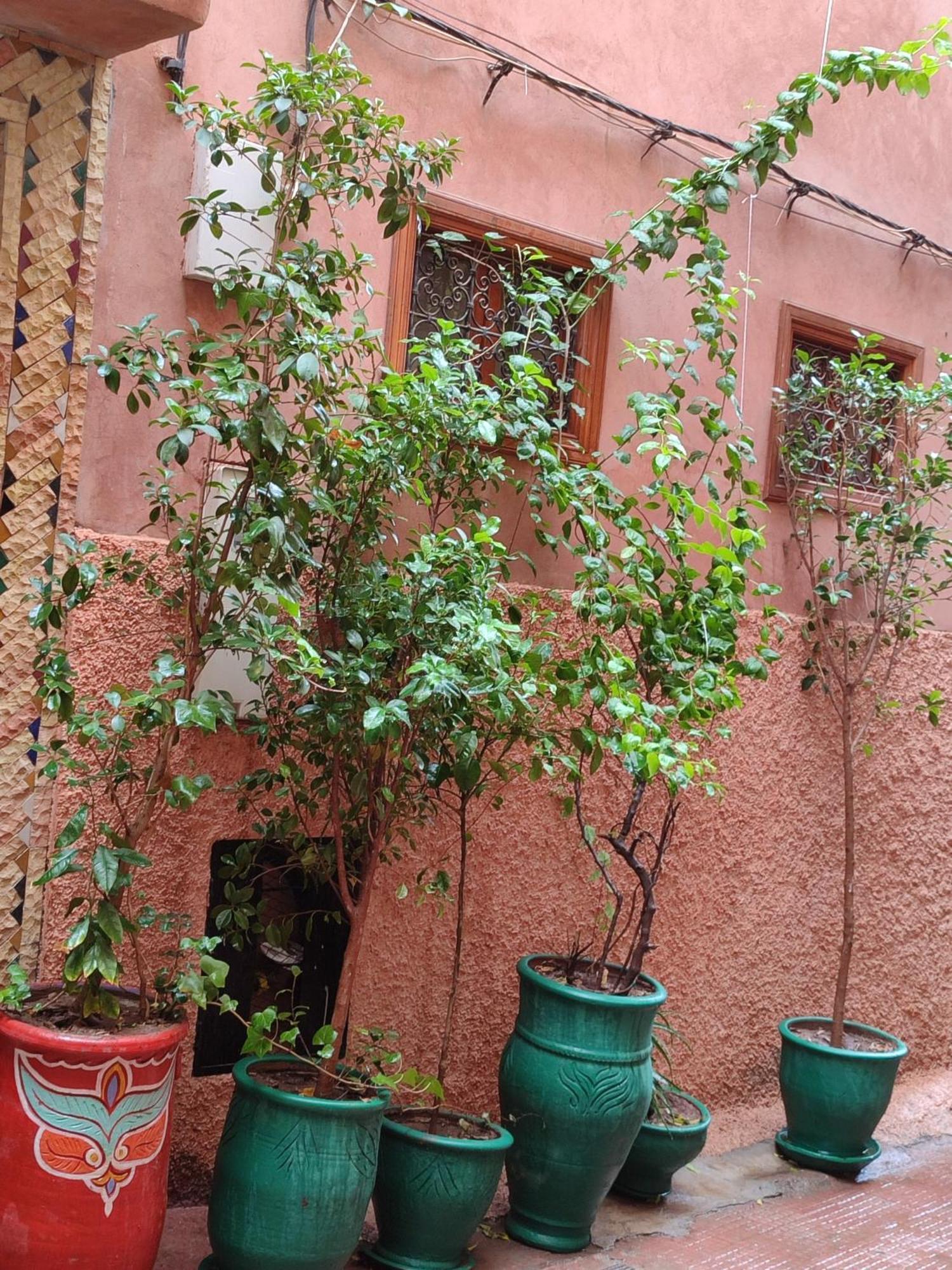 Riad Zahri Marrakesh Exterior photo